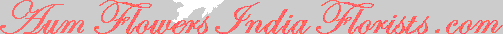 aumflowersindiaflorists.com