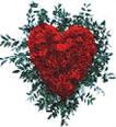 Rose Heart