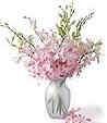 Exotic Orchid Vases