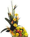 Exotic Flowers and Fruits