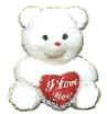 Teddy and a Velvet Heart