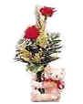 Teddy with Red Roses