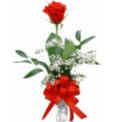 Vase with a Red Rose